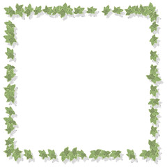 葉っぱのイラストのフレーム（水彩、アイビー）