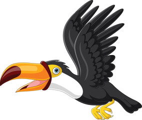 Cartoon toucan flying on white background