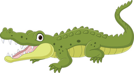 Cartoon crocodile isolated on white background 