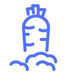 Carrot Gardening Organic Vegetable