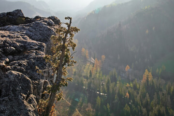 Jesienny krajobraz w Tatrach, widok z góry Nosal na Kuźnice.
