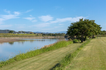 大倉河川緑地と菊池川（熊本県玉名市）