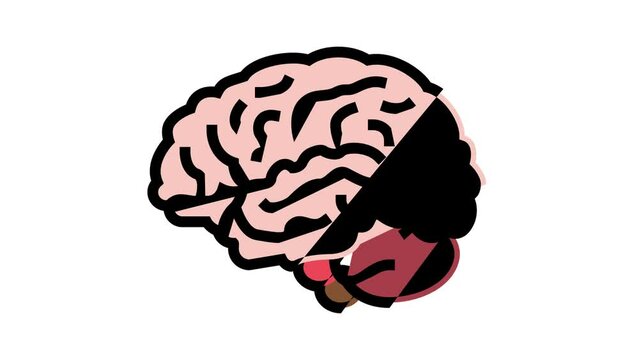 brain anatomy organ color icon animation