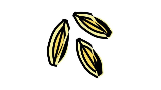 barley grain unpeeled color icon animation