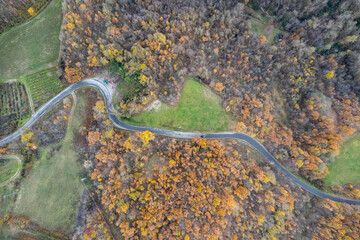 fall coloured trees in forest drone point of view in the hills of Arda Valley