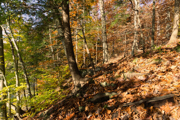 Tyler State Park, Pennsylvania