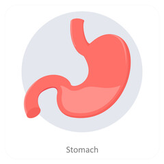 Stomach