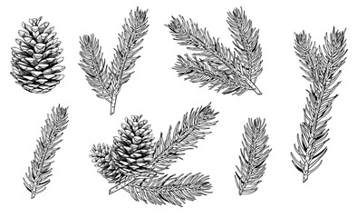 Naklejka premium Christmas vector illustration set of pine, branches, holly winter decor, Christmas tree. Holiday set isolated on white background. Vintage line art. Happy new year.