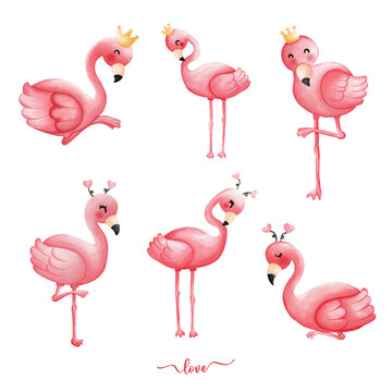 Hand Drawn Flamingo for Valentine, Watercolor Valentine elements..
