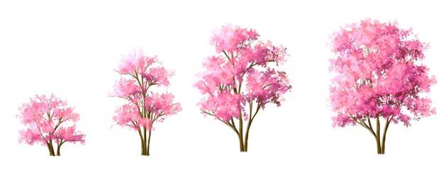 Naklejka premium watercolor blooming flower,tree or forest side view isolated on white background for landscape and architecture drawing,elements for environment and garden,botanical for section in spring