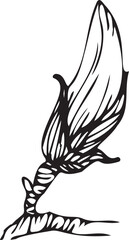 Linear magnolia flowers. Hand drawn vector illustration. This art is perfect for invitation cards, spring decor, greeting cards, posters, scrapbooking, print, wallpaper, wrapping paper. 