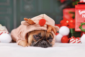French Bulldog dog wearing Christmas hoodie with reindeer antlers lying down between seasonal...