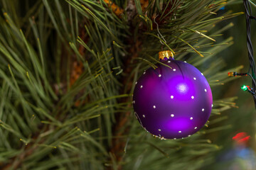 Spruce branch with Christmas ball and festive lights on the background.