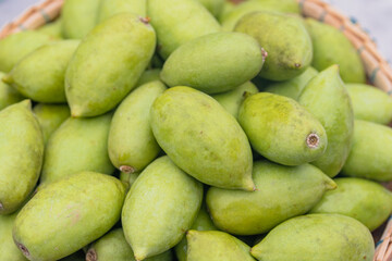 Fresh green Elaeocarpus hygrophilus Kurz in a basket