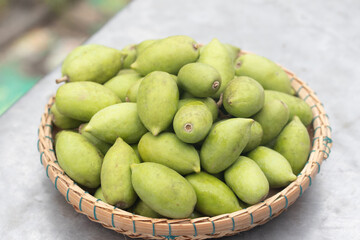 Fresh green Elaeocarpus hygrophilus Kurz in a basket