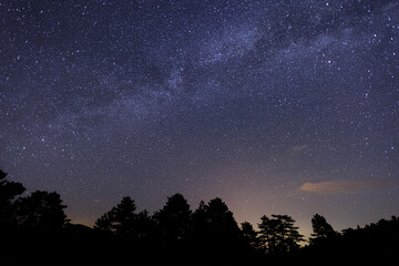 Obraz na płótnie Canvas starry night sky with stars