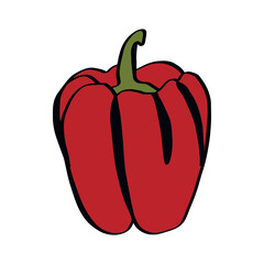 A simple doodle illustration of bright juicy sweet pepper. Sweet Bulgarian pepper.