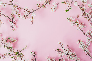 Spring time concept with white flowers on pink. Flat lay, top view.