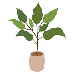 Minimalistic Style Potted Houseplant