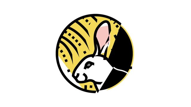 rabbit chinese horoscope animal color icon animation