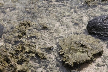 rocks on the beach