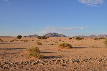 Fototapeta na wymiar Amazing View from dune in dry pan of Sossusvlei Namib Naukluft National Park