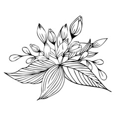 Flower arrangement. Hand drawing. For wedding decor, holiday invitations, backgrounds, as clipart or coloring	