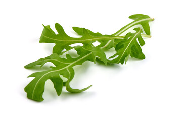 Fresh arugula, ruccola leaves, isolated on white background.