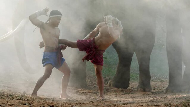 Two Young males wearing Thai tradition short, head and hands wrapped in twisted hemp rope and showing beautiful fighting art of Muay Thai, Blurred elephants and spreading white mist in background