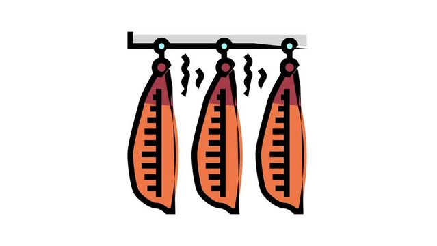 smoked salmon color icon animation
