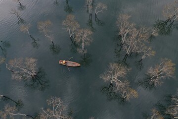 boat on the river