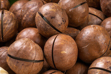 Macadamia nuts and Macadamia with hard shell on wooden background.