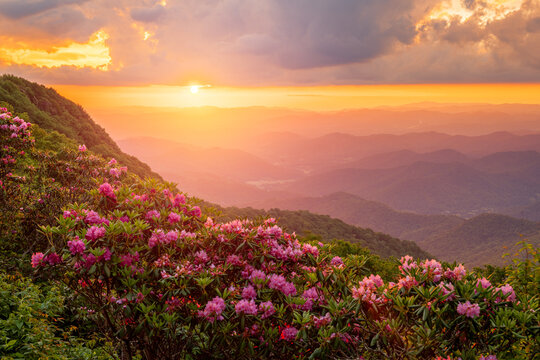 The Great Craggy Mountains Along The Blue Ridge Parkway In North Carolina, USA With Catawba Rhododendron