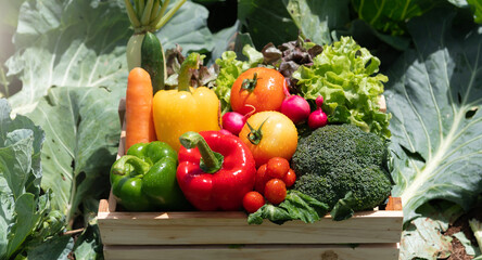 Wooden crate filled with fresh organic vegetables .