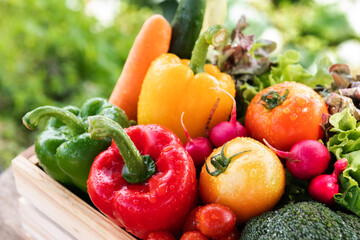 Wooden crate filled with fresh organic vegetables .