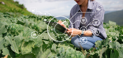 Agriculture technology farmer woman holding tablet or tablet technology to research about...