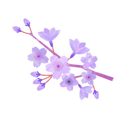 Fototapeta na wymiar パープルカラーの水彩風 桜のカットイラスト素材