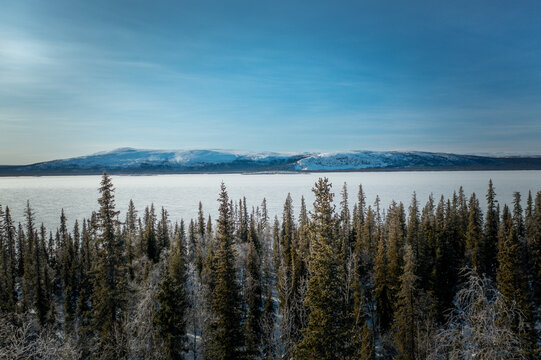 The view above the treeline of section fo Swedish Winter Landscape in Stora Sj&ouml;fallet National Park, Sweden