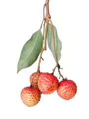 fresh fruit litchi