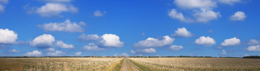 Fototapeta premium panorama of an autumn sloping field with a country road and cumulus clouds
