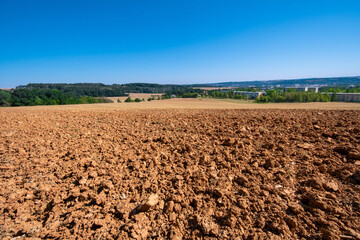 plowed agricultural field and forest on the horizon