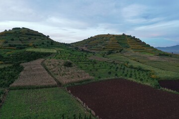 rice field terraces