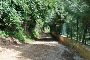 Mercato San Severino - Sentiero che scende da Castello Sanseverino
