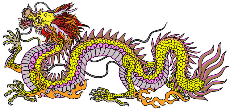 Chinese or Eastern yellow golden dragon. Traditional mythological creature of East Asia. Tattoo.Celestial feng shui animal. Side view. Graphic style isolated vector illustration