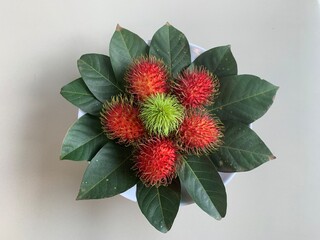 rotating display on rambutan fruit. very delicious and healthy. 