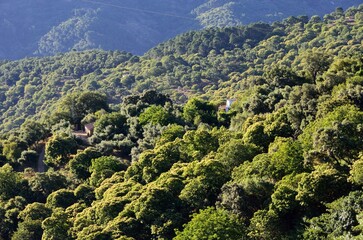 Vistas desde Benalaur&iacute;a, Valle del Genal, M&aacute;laga, Andaluc&iacute;a, Espa&ntilde;a