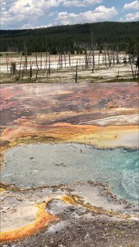 Slow, panning footage of Celestine Pool boiling at the Lower Basin geyser, Yellowstone National Park.
