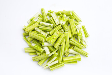 Moringa oleifera isolated on white background.