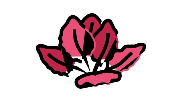 tiger lotus color icon animation