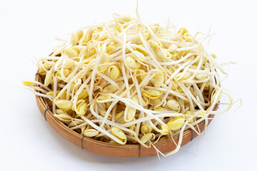 Fresh soybean sprouts for cooking.